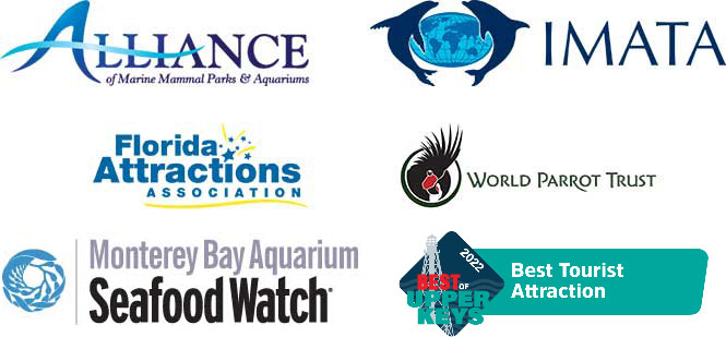 Alliance or Marine Mammal Parks and Attractions, IMATA, Florida Attractions Association, World Parrot Trust, Monterey Bay Aquarium Seafood Watch, Keys Weekly Best Tourist Attraction 2022