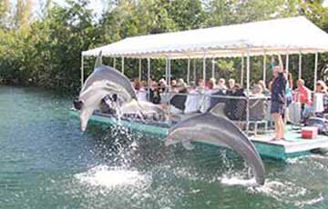 Bottomless Boat Ride & Nature Tour