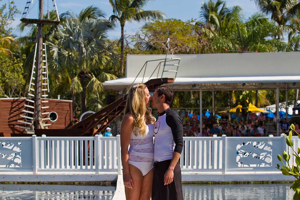 Dolphin Wedding Escape Package