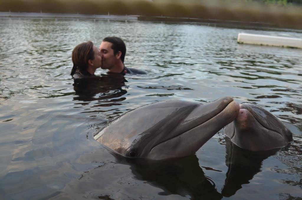 Couple kissing in background while Dolphins kiss in foreground