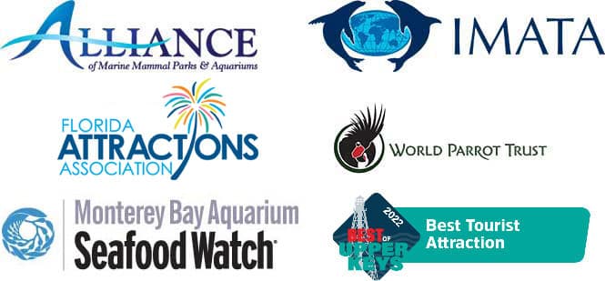 Alliance or Marine Mammal Parks and Attractions, IMATA, Florida Attractions Association, World Parrot Trust, Monterey Bay Aquarium Seafood Watch, Keys Weekly Best Tourist Attraction 2022