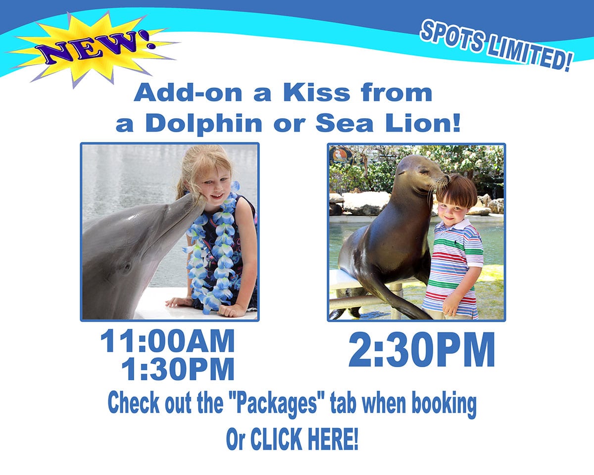 Add-on a kiss from a dolphin or sea lion! Dolphin: 2:00pm, Sea Lion 2:30pm. Check out the 'Packages' tab when booking, or click here! Spots are limited.