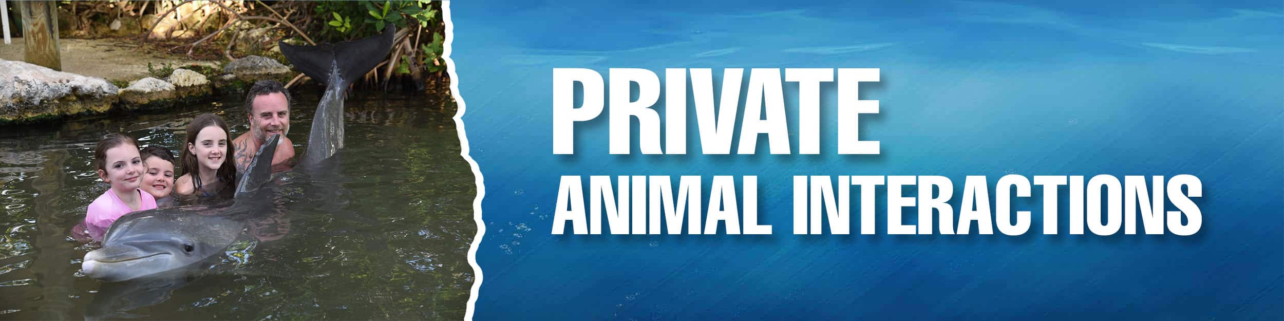 Private Animal Encounters