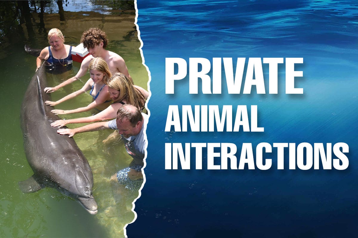 Private Animal Encounters